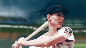 tedwilliams