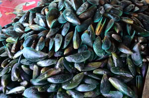 3-custom-steel-baskets-used-for-seafood-processing