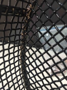 Here, you can see where the coating is worn thin, as electroplated material collects on the basket rather than the parts meant to be plated.