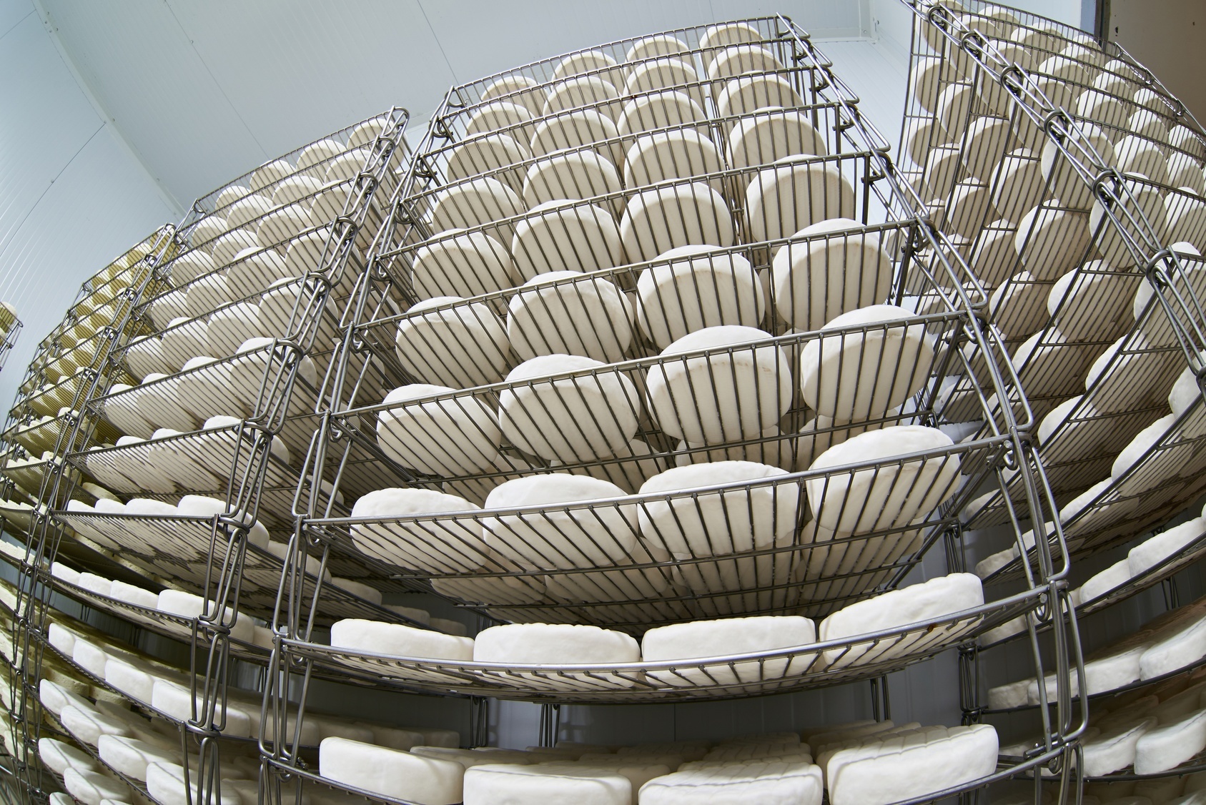 Blocks_of_Cheese_on_Food_Safe_Metal_Racks-4