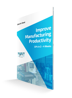  Improve Manufacturing Productivity by 33% in 2-4 Weeks